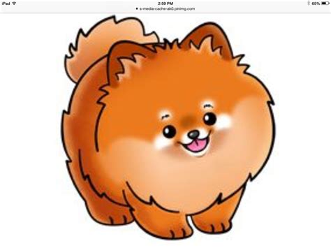 Pomeranian #Pomeranian | Cute drawings, Cute cartoon animals, Cute ...