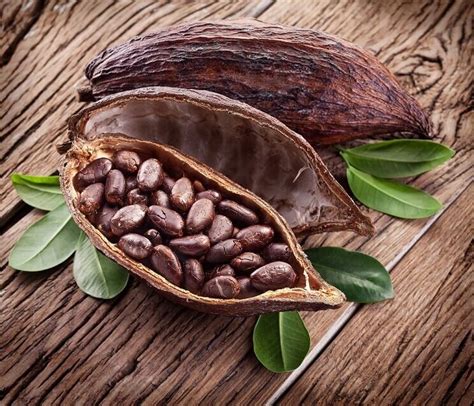 Cacao vs Cocoa: The Difference and Why It Matters | PaleoHacks Blog