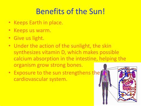 What Benefits Does The Sun Provide For Earth - The Earth Images Revimage.Org