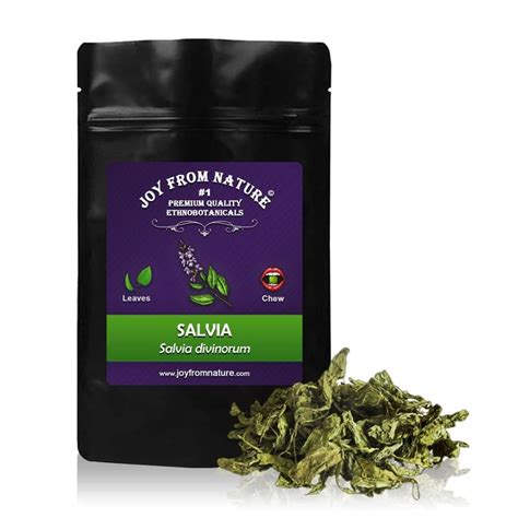 Salvia Divinorum Seeds For Sale | Buy Salvia Divinorum Online