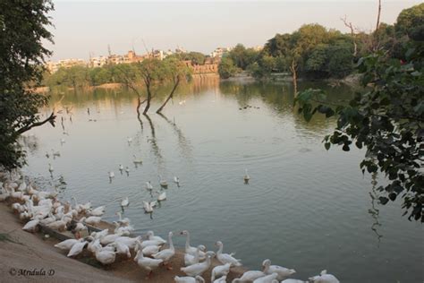 Hauz Khas, Delhi- Really Khas! – Travel Tales from India and Abroad