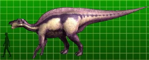 Maiasaura Pictures & Facts - The Dinosaur Database