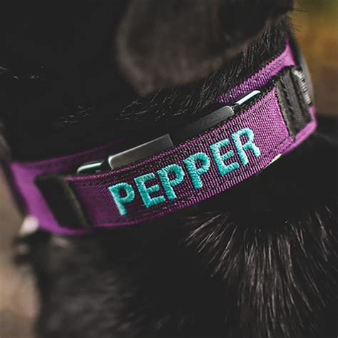 Personalized Series - 1 & 2 Fi Tactical Dog Collar Band | Tactipup