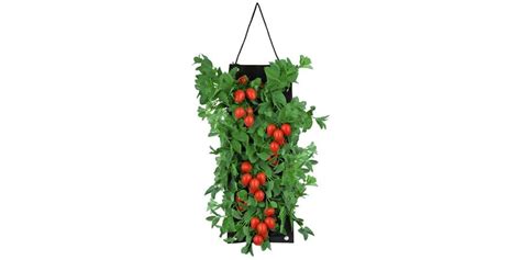 Organic Hanging Tomato Bag: Your Choice