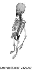 Human Body Skeleton Body Structure Wire Stock Illustration 232000783 | Shutterstock