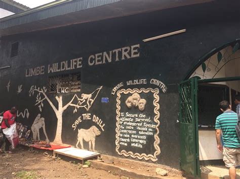 Limbe Wildlife Centre (Cameroon): Top Tips Before You Go - TripAdvisor