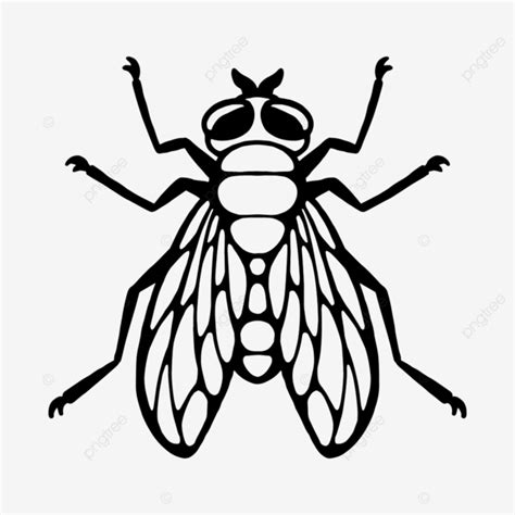 Insect Flying Silhouette PNG Images, Fly Insect Contour Silhouette Bug ...