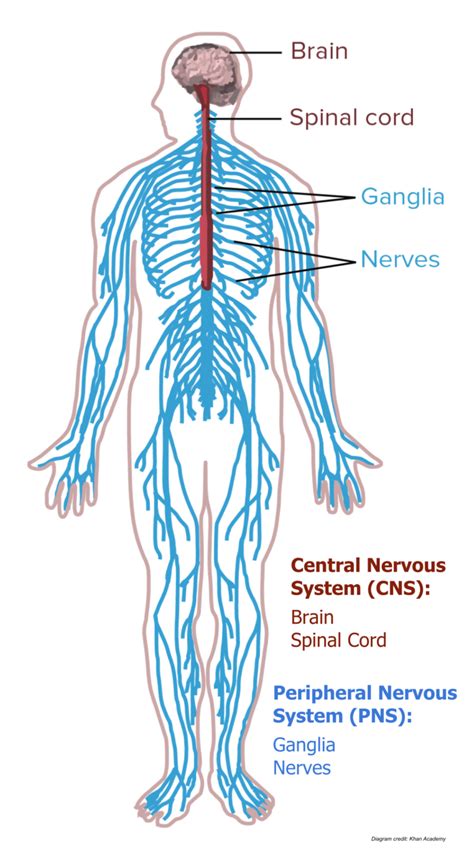 Conditions We Treat - Neurology Solutions