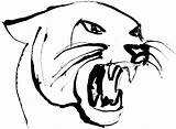 Panther Coloring Pages Color Florida Panthers Animal Animals Printable  sketch template