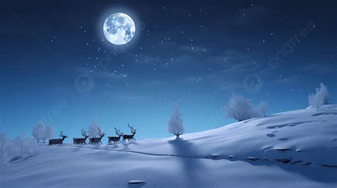 Reindeer Walking At Night Under A Beautiful Night Sky Background, 3d ...