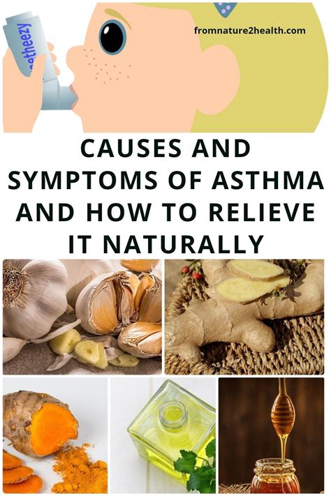 Causes and Symptoms of Asthma and How to Relieve It Naturally | Asthma ...