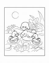 Free DUCK Coloring Pages For Download Printable PDF sketch template