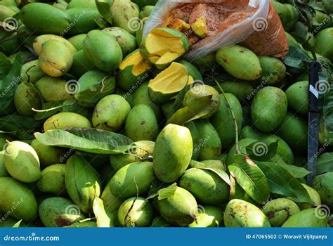 Mango market stock photo. Image of vegetarian, food, natural - 47065502