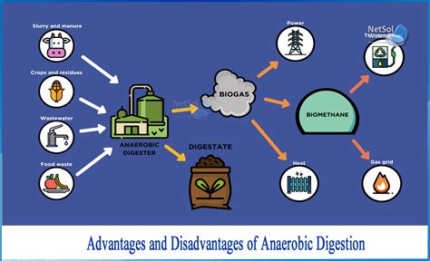 What are the advantages and disadvantages of anaerobic digestion