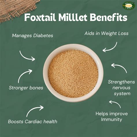 Foxtail Millet Rava Organic 500gm | Foxtail Millet Rava - Millet Amma