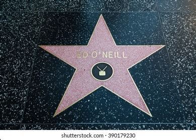 O'Neill's Logo Vector (.EPS) Free Download