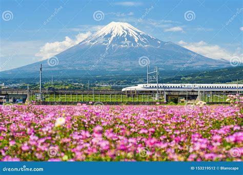 Shinkansen At Pink Flower And Mount Fuji, Shizuoka Stock Image | CartoonDealer.com #229553377