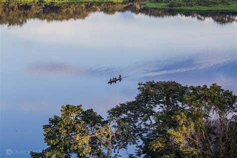 How to Visit the Amazon in Ecuador