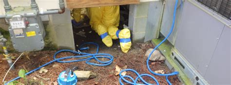 Protect Your Home From A Sewage Backup — Capital Restoration