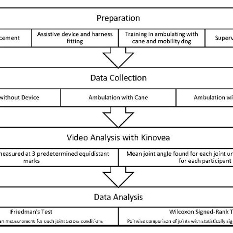 Diagram of study design. | Download Scientific Diagram