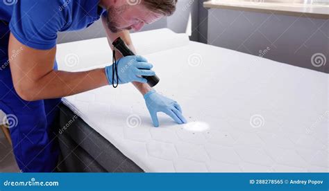 Bed Bug Infestation and Treatment Service Stock Image - Image of ...