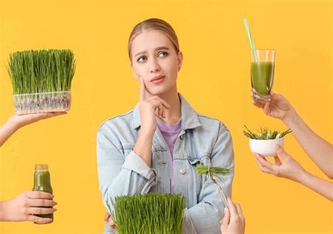 Wheatgrass - Health Benefits, Nutrition & Weight Loss - HealthifyMe