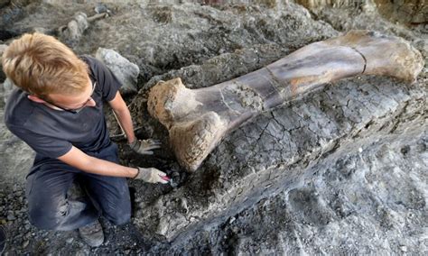 Giant Dinosaur Bone Found in Southwestern France | The Epoch Times