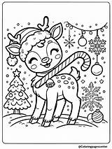 11 Free Printable Baby Reindeer Coloring Pages sketch template