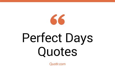 464+ Professional Perfect Days Quotes That Will Unlock Your True Potential