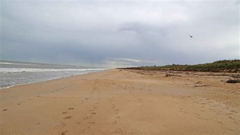 Canaveral National Seashore - Florida | Park Ranger John