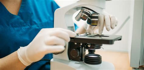 Veterinarian looks through a microscope in clinic – Veterinary Practioners Association Of The ...