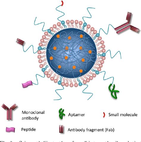 Lipids Polymer