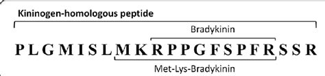 Release of biologically active kinin peptides. The kininogenhomologous ...