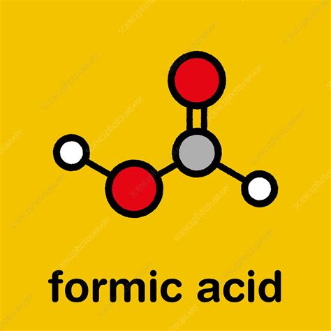 Methanoic Acid Structure