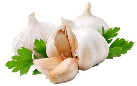 Garlic Coriander transparent PNG - StickPNG