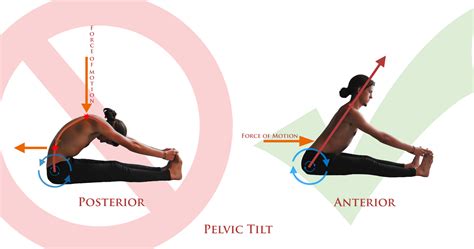 Understanding Pelvic Tilt | Practicing Ashtanga