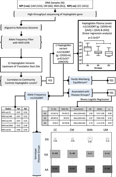 Flow chart showing the variant filtering strategies and association ...