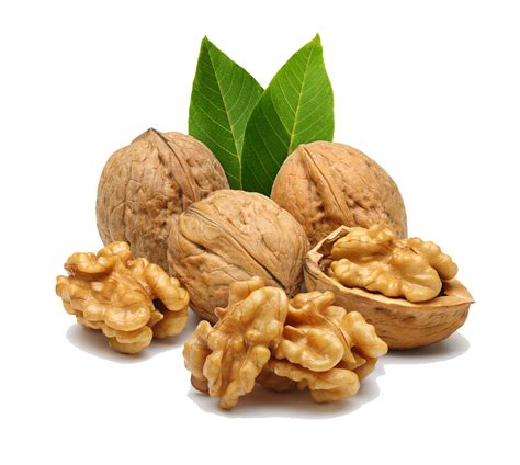 Nuts PNG Transparent HD Photo - PNG All | PNG All