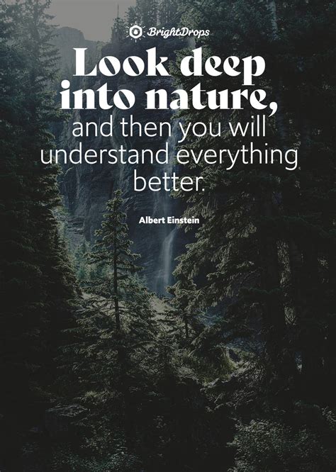 105 Inspirational Nature Quotes on Life and Its Natural Beauty