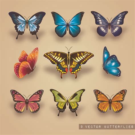 Colorful Vector Butterflies Set 695560 Vector Art at Vecteezy