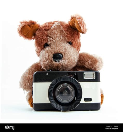 Cute little teddy bear with camera over a white background Stock Photo - Alamy