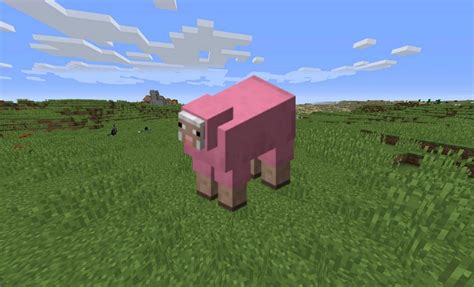 Baby Sheep Minecraft