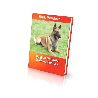 Belgian Malinois Training Secrets - How To Train a Belgian Malinois