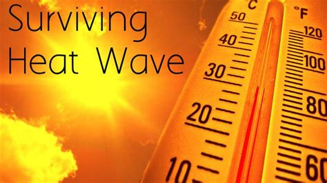 Survive a Heat Wave with These Cool Tips | heatwhiz.com | Heatwave ...