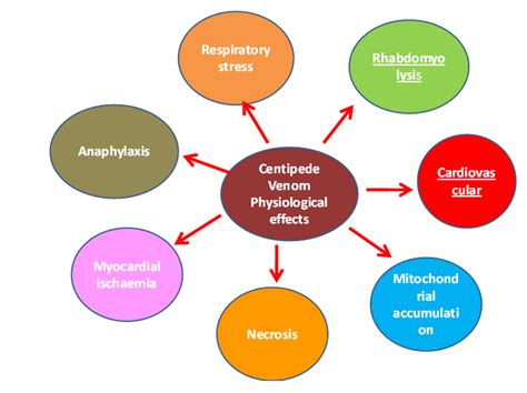 Fig. 2: Physiological effects of centipede venom