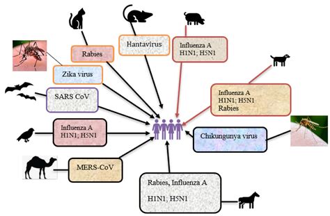 Emerging and Re-Emerging Viral Diseases: The Case of Coronavirus Disease-19 (COVID-19)