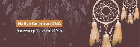 Native American DNA Ancestry Test mtDNA