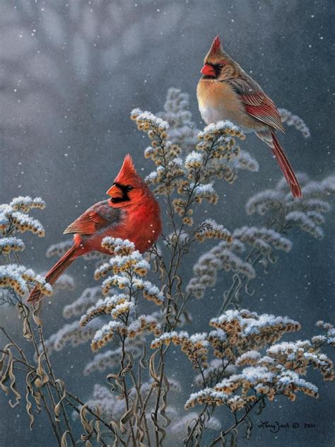 Winter Cardinals on Goldenrod – Larry Zach Wildlife Art | Prachtige ...