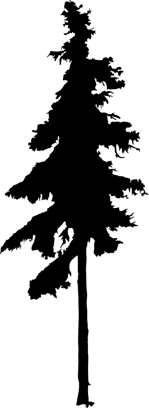 10 Pine Tree Silhouette (PNG Transparent) | OnlyGFX.com