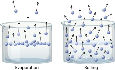 Difference Between Evaporation and Boiling